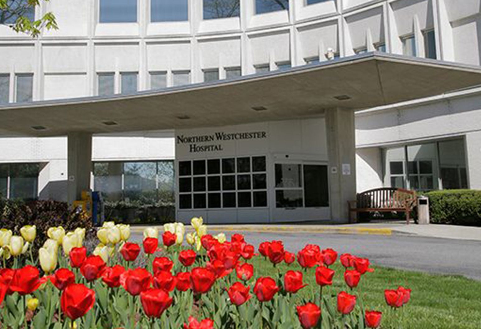 Exterior image of Northern Westchester Hospital with red and yellow tulips in the foreground.